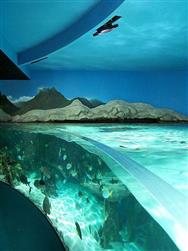 Aquarium de la Rochelle